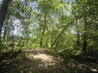 Eladó mezogazdasagi ingatlan, Nagykörűn 1.5 M Ft