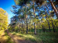 Eladó mezogazdasagi ingatlan, Papkeszin 1.9 M Ft