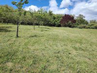 Eladó mezogazdasagi ingatlan, Zalaszentgróton 12 M Ft