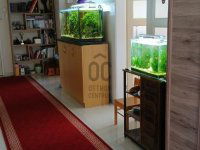 Eladó családi ház, Monoron 105 M Ft, 5 szobás