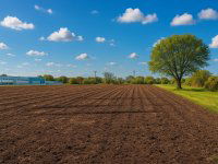 Eladó mezogazdasagi ingatlan