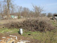 Eladó családi ház, Albertirsán 14 M Ft, 1 szobás