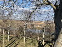 Eladó mezogazdasagi ingatlan