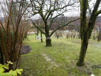 Eladó családi ház, Zalaegerszegen 19.99 M Ft, 2 szobás