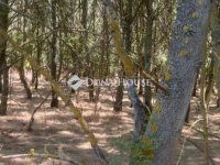 Eladó telek, Martfűn 13 M Ft / költözzbe.hu