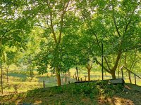 Eladó családi ház, Somlószőlősön 149.9 M Ft, 6 szobás