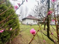 Eladó családi ház, Cserkeszőlőn 44.9 M Ft, 3 szobás