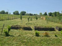 Eladó telek, Balatonkenesén 21.9 M Ft / költözzbe.hu