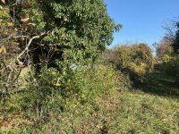 Eladó telek, Isztiméren 3.9 M Ft / költözzbe.hu