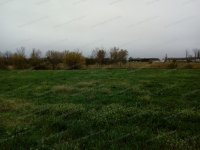 Eladó mezogazdasagi ingatlan, Szolnokon 77 M Ft