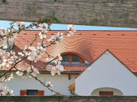 Eladó családi ház, Balatonalmádiban 321 M Ft, 3+1 szobás