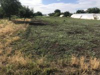 Eladó mezogazdasagi ingatlan, Szentesen 2.2 M Ft