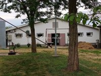 Eladó mezogazdasagi ingatlan, Orosházán 229 M Ft, 2 szobás