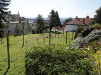 Eladó családi ház, Pécsett 238 M Ft, 6 szobás