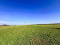 Eladó telek, Taksonyon 30 M Ft / költözzbe.hu