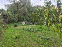 Eladó mezogazdasagi ingatlan