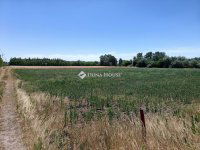 Eladó mezogazdasagi ingatlan