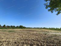 Eladó telek, Balatonszabadiban 25 M Ft / költözzbe.hu