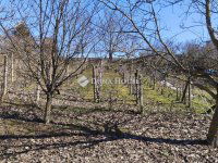 Eladó telek, Pellérden 1.9 M Ft / költözzbe.hu