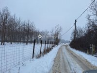 Eladó telek, Bicskén 9.5 M Ft / költözzbe.hu