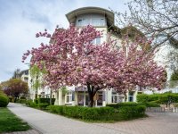 Eladó téglalakás, XI. kerületben 139.9 M Ft, 1+2 szobás