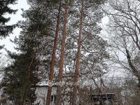 Eladó családi ház, Solymáron 113.5 M Ft, 3+2 szobás