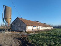 Eladó mezogazdasagi ingatlan, Csőszön 298 M Ft