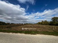 Eladó telek, Jenőn 6.5 M Ft / költözzbe.hu