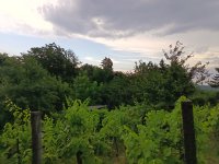 Eladó telek, Kaposváron, Dongó utcában 5.8 M Ft