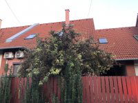 Eladó sorház, Dunaharasztin 94.9 M Ft, 7 szobás