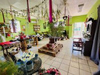 Eladó családi ház, Tápiószecsőn 46.9 M Ft, 3 szobás