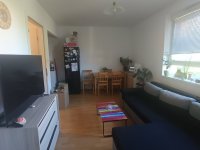Kiadó téglalakás, albérlet, Pécsett, Dobó István utcában