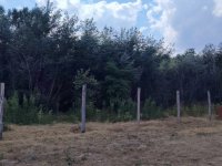 Eladó telek, Lajosmizsén 2.1 M Ft / költözzbe.hu