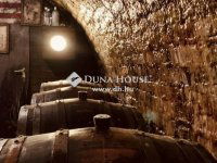 Eladó üzlethelyiség, Sükösdön 215 M Ft / költözzbe.hu