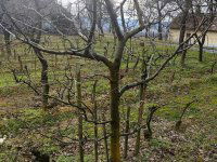 Eladó nyaraló, Zalaszentlászlón 45 M Ft, 1 szobás