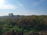 Eladó telek, Balatonfüreden 63 M Ft / költözzbe.hu