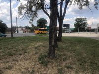 Eladó ipari ingatlan, Kecskeméten 200 M Ft / költözzbe.hu