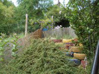 Eladó telek, Zalaegerszegen 24.9 M Ft / költözzbe.hu