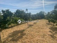 Eladó családi ház, XXII. kerületben 54.9 M Ft, 3 szobás