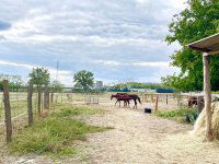 Eladó ipari ingatlan, Hernádon 66.9 M Ft / költözzbe.hu