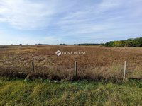 Eladó telek, Alsónémediben 84.9 M Ft / költözzbe.hu