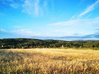 Eladó mezogazdasagi ingatlan