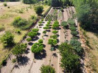 Eladó családi ház, Hevesen 44.9 M Ft, 2 szobás