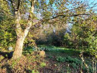 Eladó családi ház, Zalaszántón 39.9 M Ft, 3 szobás