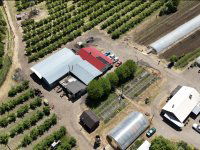 Eladó mezogazdasagi ingatlan, Putnokon 390 M Ft