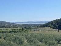 Eladó mezogazdasagi ingatlan, Dörgicsén 310 M Ft