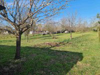 Eladó mezogazdasagi ingatlan, Siófokon 38.5 M Ft, 1 szobás