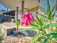 Eladó családi ház, Szigetbecsén 135 M Ft, 4 szobás