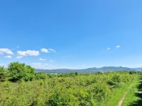 Eladó mezogazdasagi ingatlan, Pilismaróton 7.99 M Ft