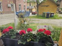 Eladó téglalakás, XIII. kerületben 79.8 M Ft, 1 szobás